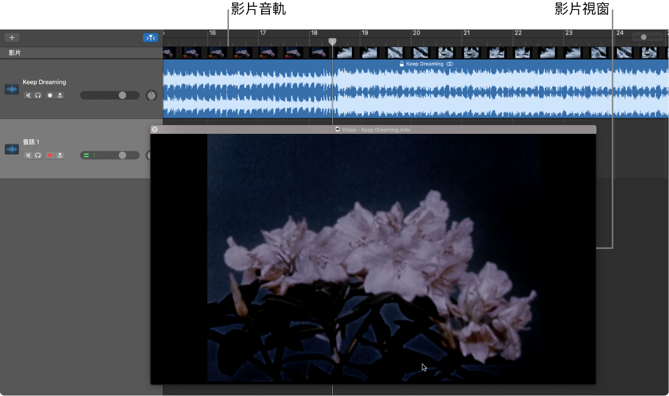 浮動的「影片」視窗和包含影片中音訊的音軌。