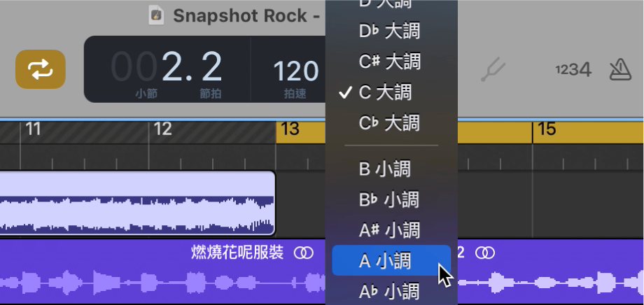 顯示「音調」彈出式選單的 LCD