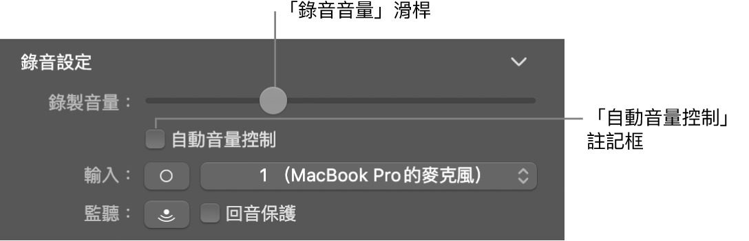 「智慧型控制項目」檢閱器中的「錄製音量」和「自動音量」註記框。