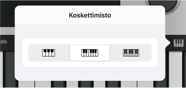 Kuva. Koskettimiston koko ‑ponnahdusvalikko.