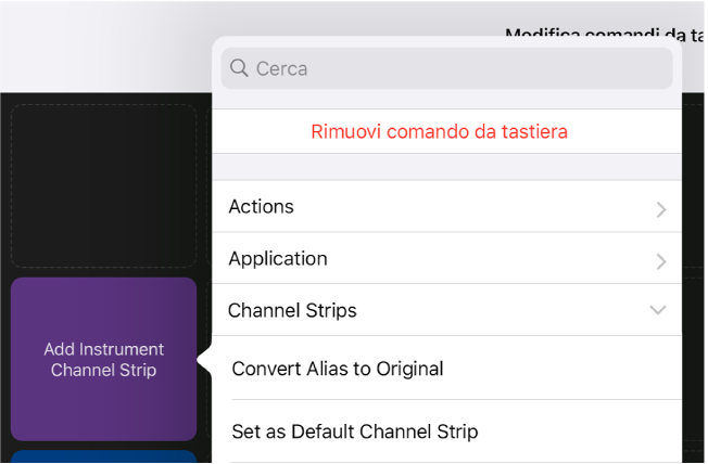 Figura. Menu a comparsa “Comandi da tastiera”.