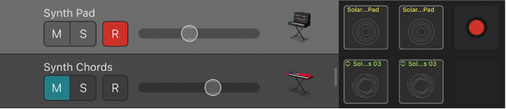 Figure. Track header, showing Mute, Solo, Record and Volume controls, and track icon.