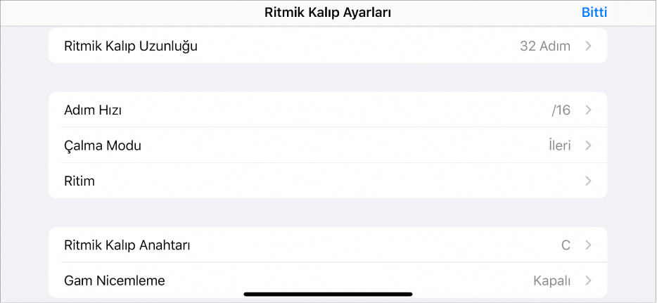 Ritmik Kalıp Ayarları menüsü.