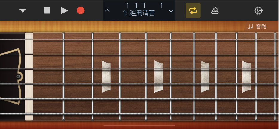 圖表。結他觸碰式樂器。