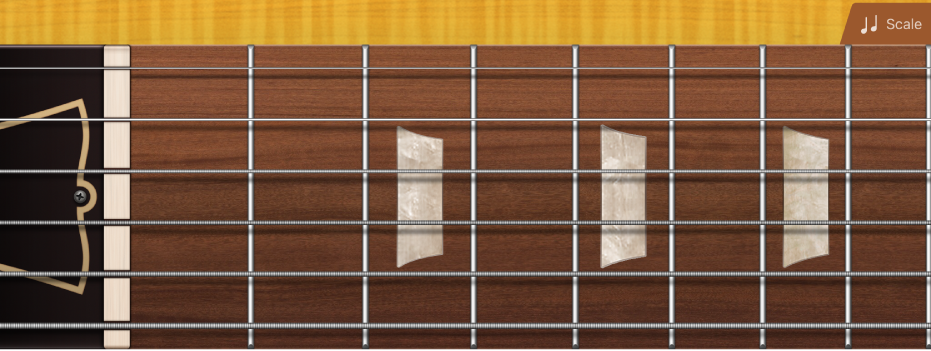 Figure. Guitar fretboard.