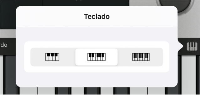 Ilustración. Menú desplegable “Tamaño del teclado”.