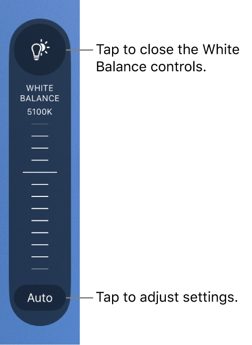 The White Balance dial, with an Auto button at the bottom.