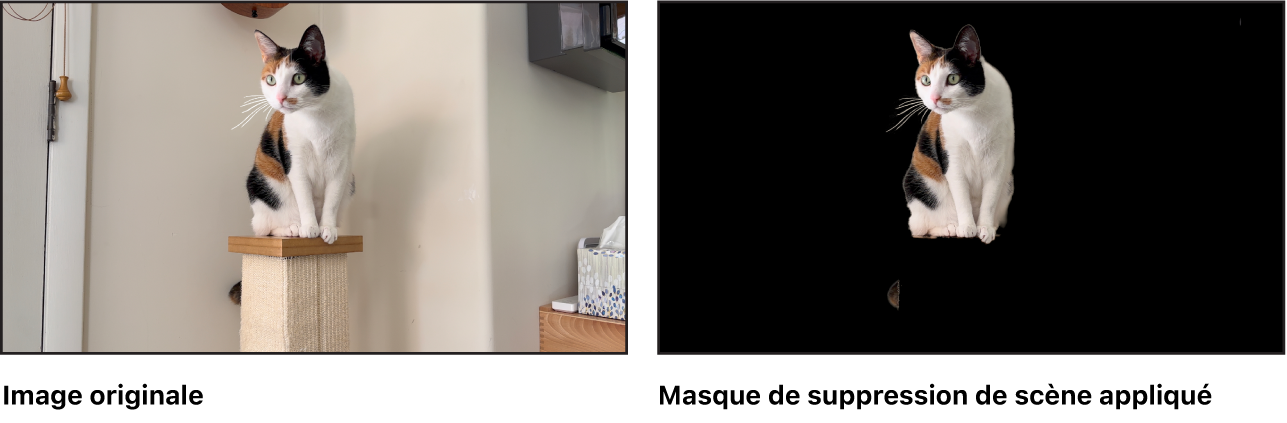 Une comparaison côte à côte de l’image originale et de l’image après l’application du masque de suppression de scène.