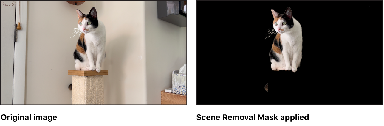 元のイメージとシーン除去マスク適用後のイメージを比較のために並べたもの。