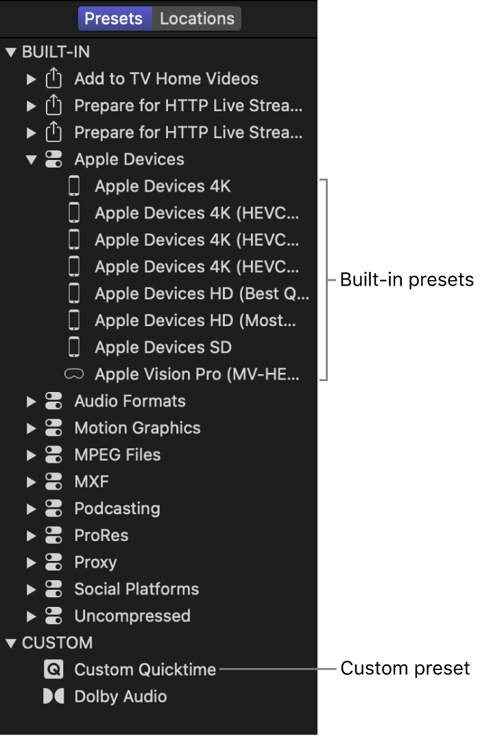 Presets pane showing a collection of built-in and custom presets.