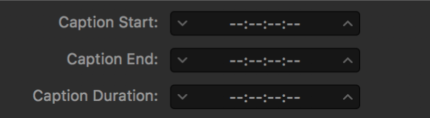 Caption timing fields showing dashes instead of timecode