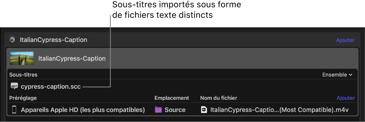 Zone du lot affichant un fichier de sous-titres, ajouté comme fichier texte à part