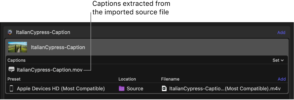 ソース・ビデオ・ファイルから抽出したキャプションファイルが表示されたバッチ領域