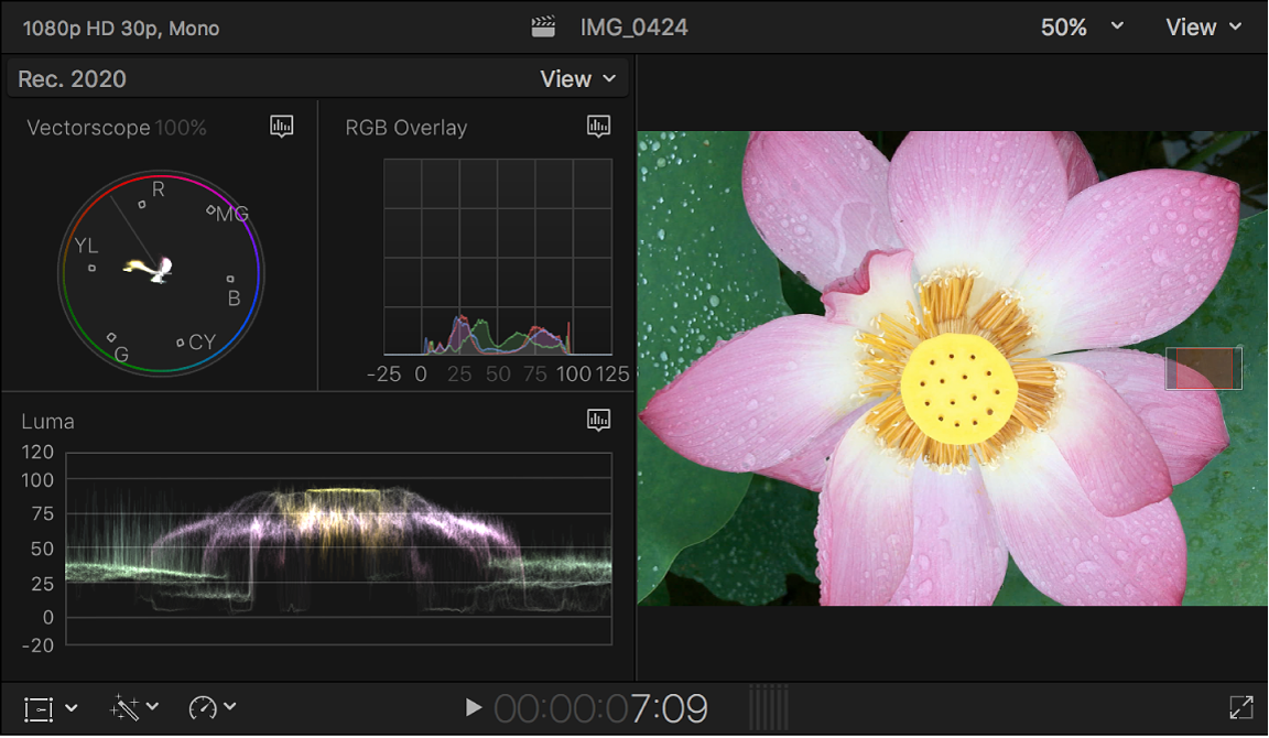 Vectorscope, Histogramm, Waveform-Monitor und Viewer