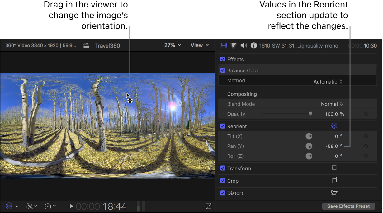 The Reorient controls in the viewer and the inspector