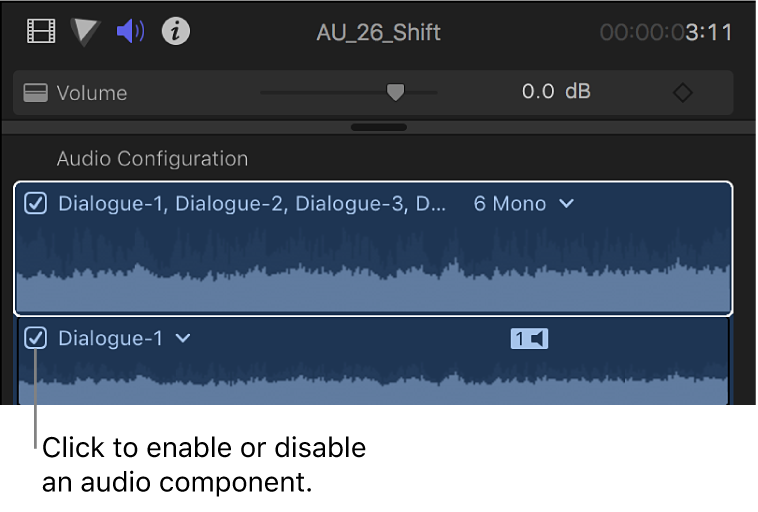 The Audio Configuration section of the Audio inspector showing checkboxes for enabling and disabling audio components