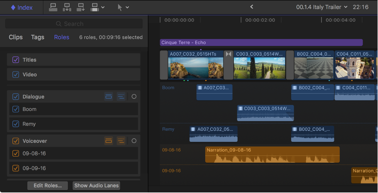 The timeline index showing roles expanded to show their subroles, and the timeline showing components for the roles