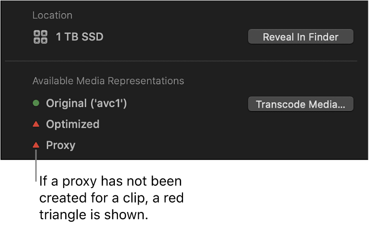 Inspector de información y triángulo rojo que indica que no existe ningún archivo proxy para el clip seleccionado