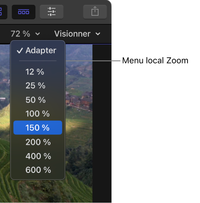 Le menu local Zoom au-dessus du visualiseur