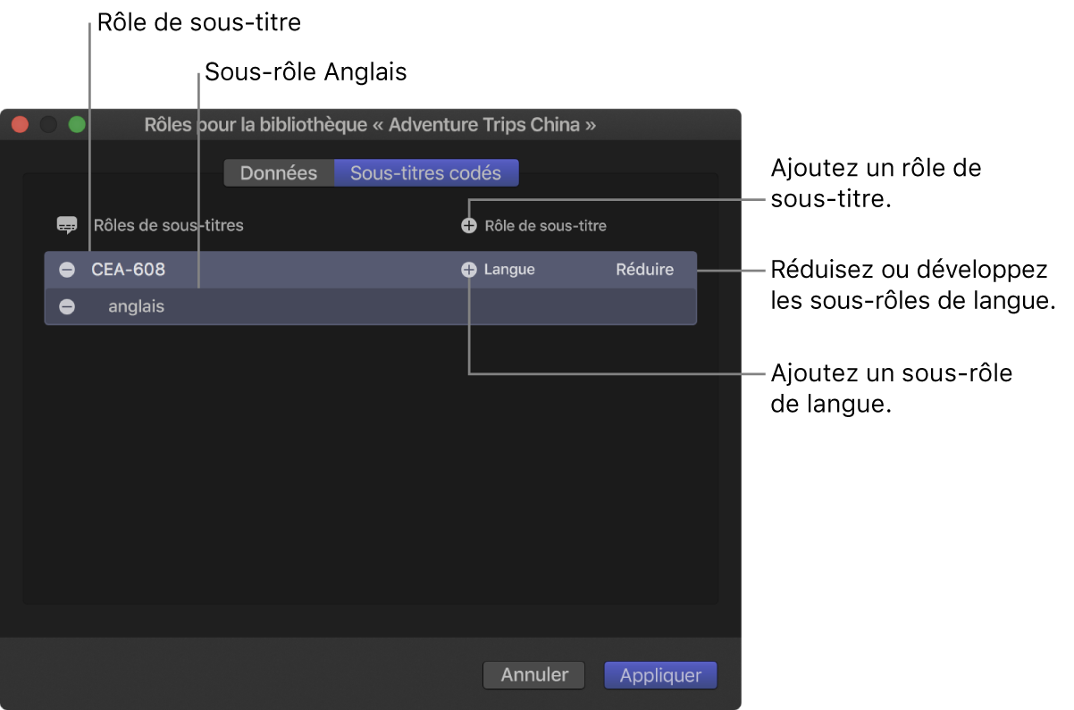 Fenêtre Sous-titres de l’éditeur de rôle montrant un rôle de sous-titre CEA-608 avec un sous-rôle Anglais