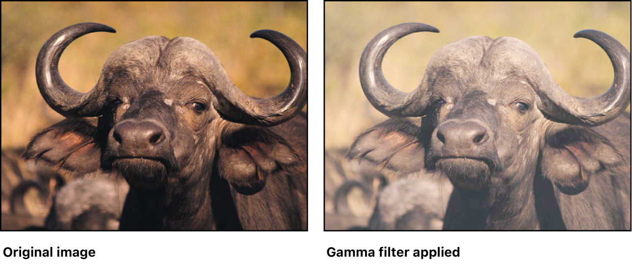 Canvas mit dem Effekt des Filters „Gamma“