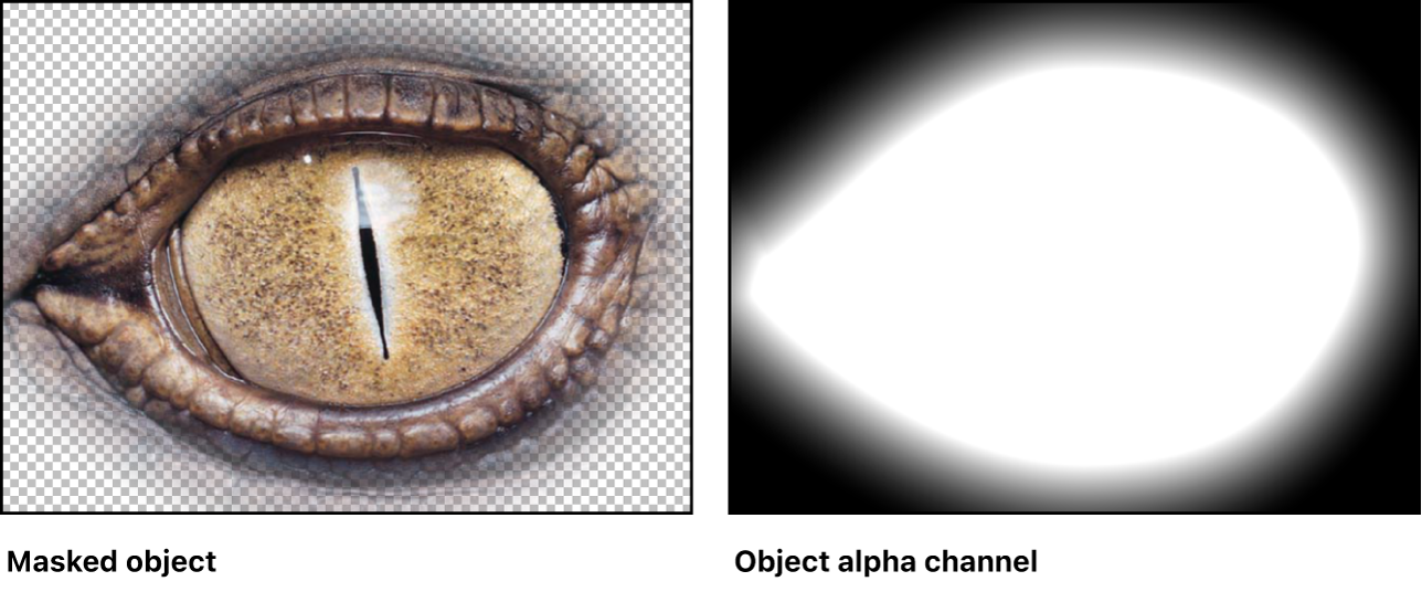 Canvas showing masked object and corresponding alpha channel