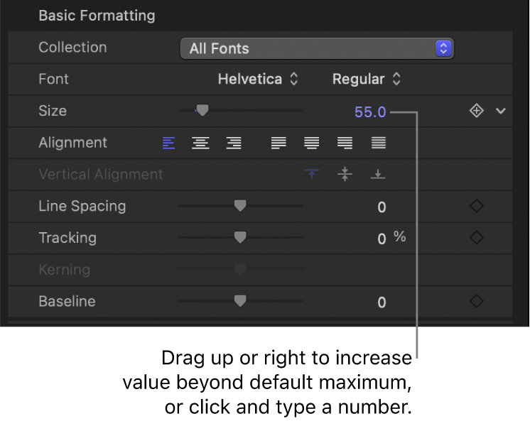 Size value field for Text Size parameter