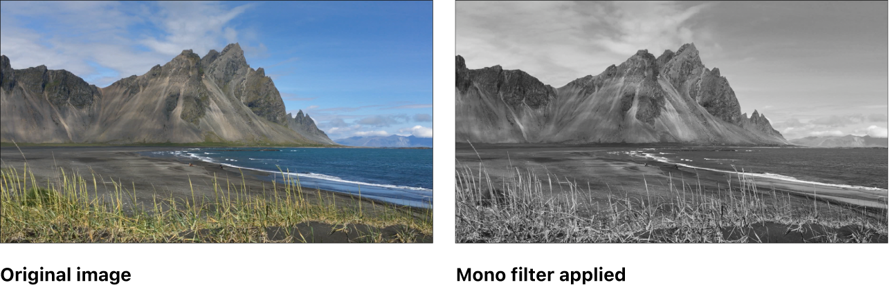 Canvas showing effect of Mono filter