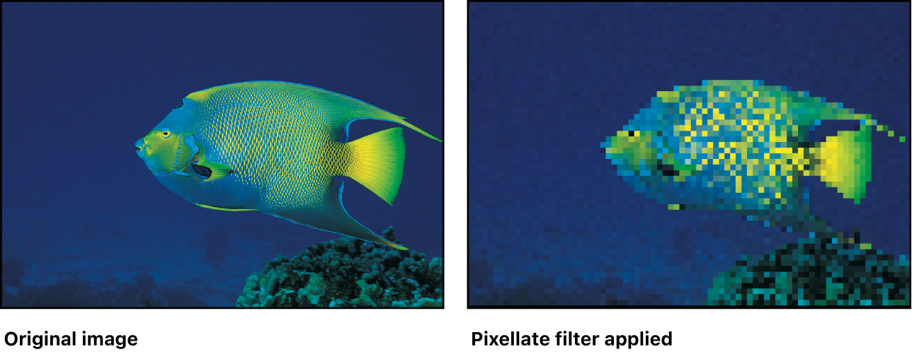 Canvas showing effect of Pixellate filter