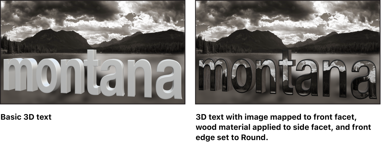 Canvas showing basic 3D text and 3D text with custom image mapped to front facet, wood applied to side facet, and front edge set to Round