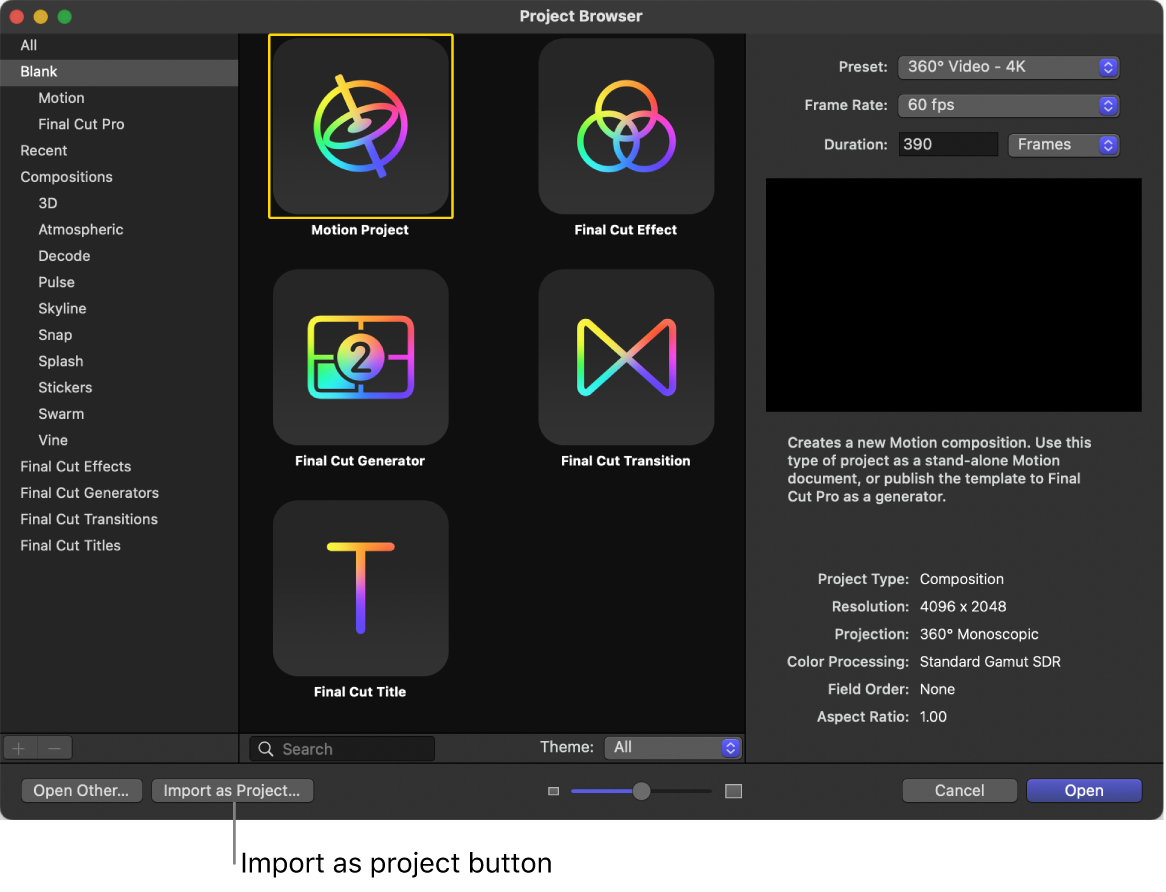 Import as Project button in the Project Browser