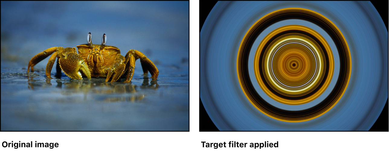 Canvas showing effect of Target filter