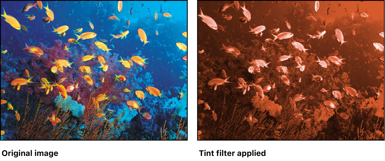 Canvas showing effect of Tint filter