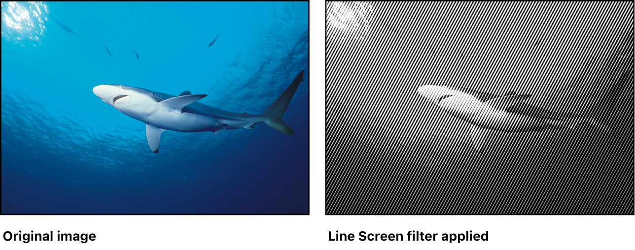 Canvas showing effect of Line Screen filter