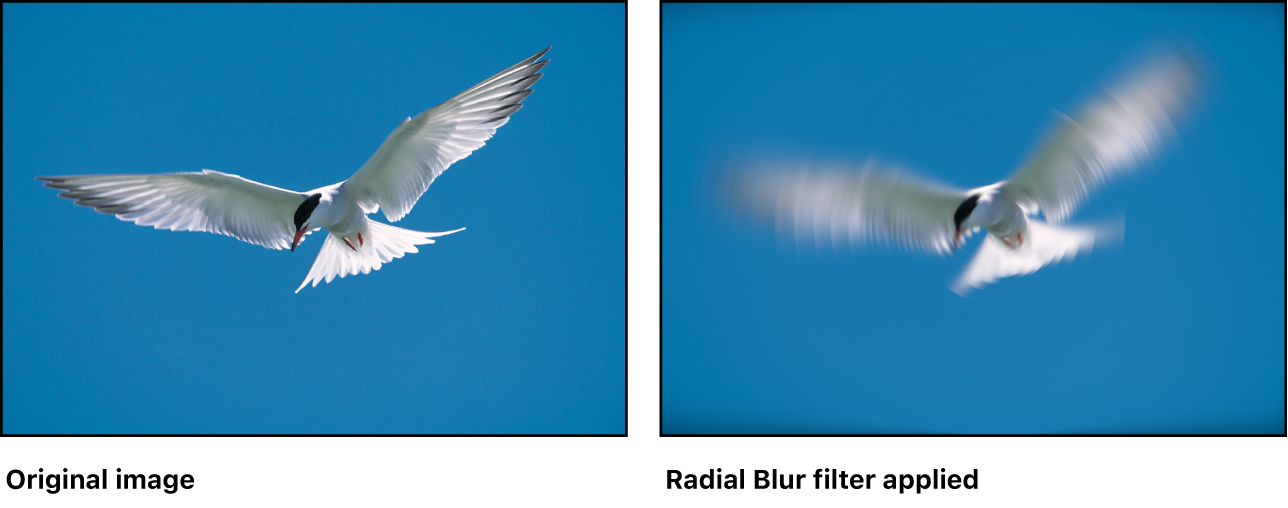 Radial Blur filter in Motion - Apple Support