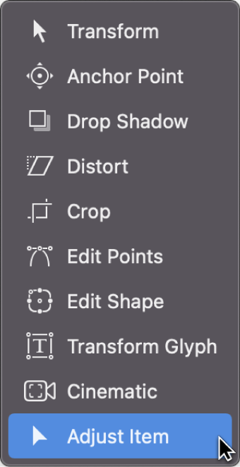 Selecting the Adjust Item tool from the transform tools in the canvas toolbar