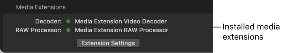 Media Inspector displaying installed Decoder and RAW Processor media extensions