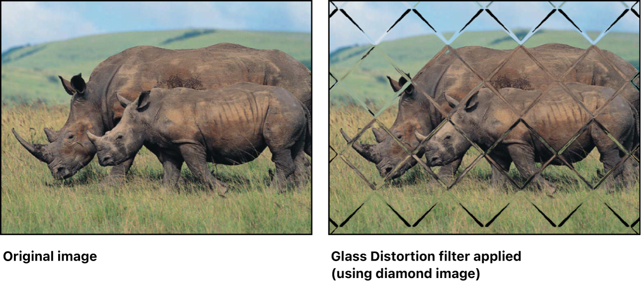 Canvas showing effect of Glass Distortion filter