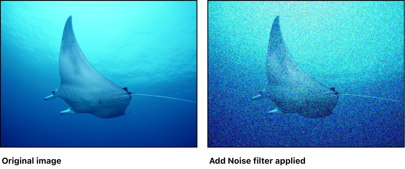 Canvas showing effect of Add Noise filter