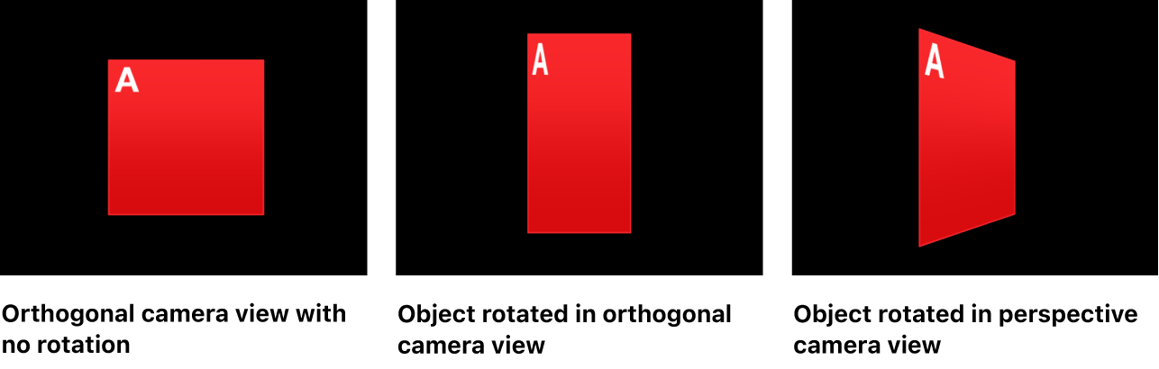 Canvas showing object with no rotation, rotated in orthogonal camera view, and in perspective camera view