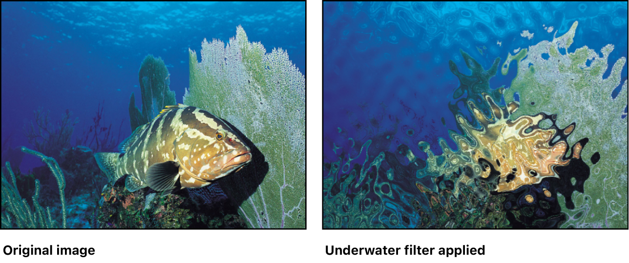 Canvas showing effect of Underwater filter