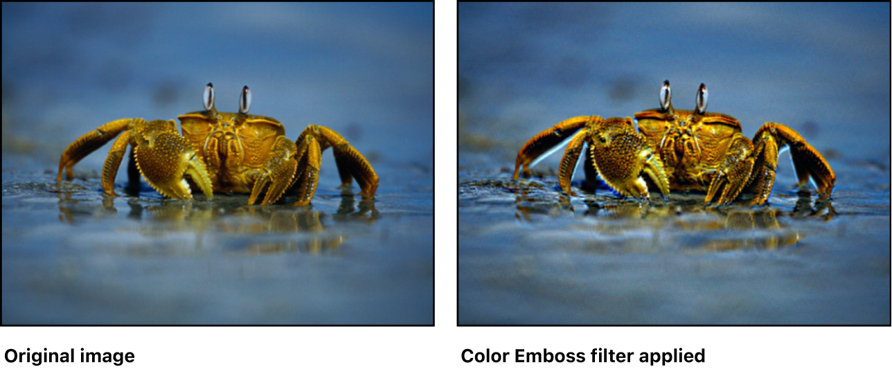 Canvas showing effect of Color Emboss filter