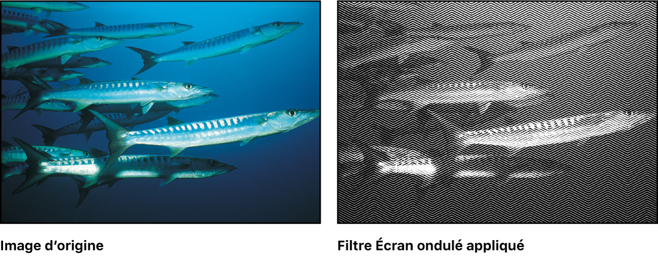 Canevas affichant l’effet du filtre Écran ondulé