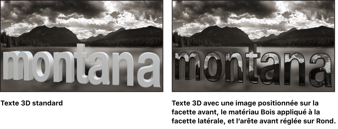 Canevas affichant un texte 3D de base et un texte 3D avec une image personnalisée positionnée sur la facette avant, la substance Bois appliquée à la facette latérale et l’arête avant réglée sur Rond