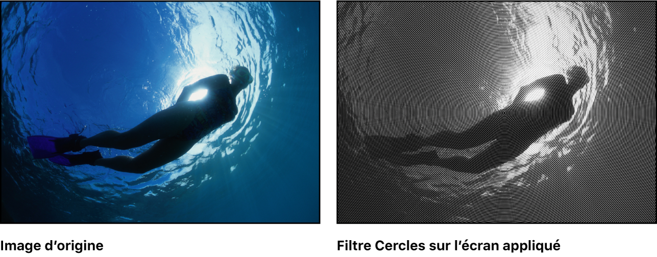 Canevas affichant l’effet du filtre Cercle sur l’écran