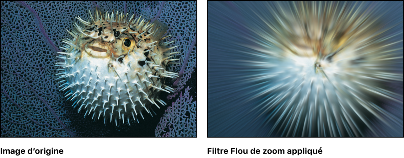 Canevas affichant l’effet du filtre Flou de zoom