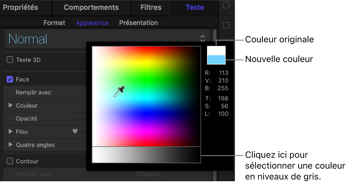 Palette des couleurs affichant les échantillons de couleurs d’origine et nouveau, ainsi que la zone de sélection de couleur en niveaux de gris