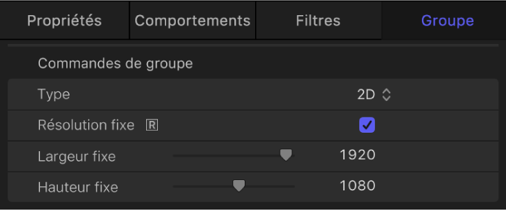 Inspecteur de groupe avec la case Résolution fixe cochée