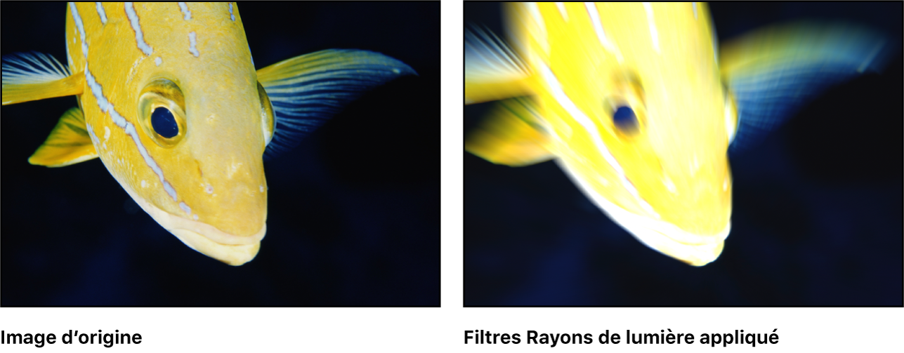 Canevas affichant l’effet du filtre Rayons de lumière