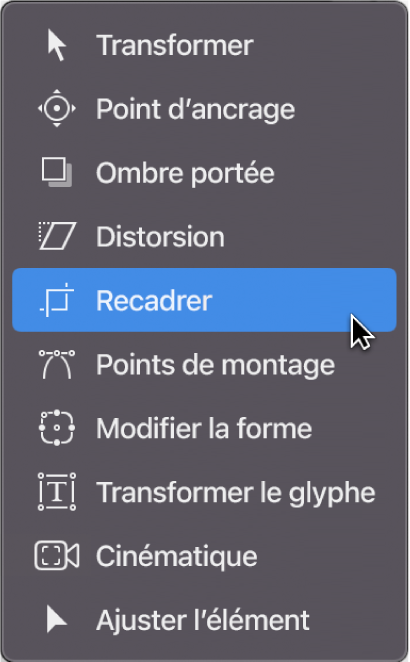 Sélection de l’outil Recadrage dans le menu local des outils de transformation